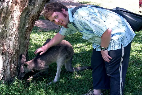 Why Kangaroos Fight