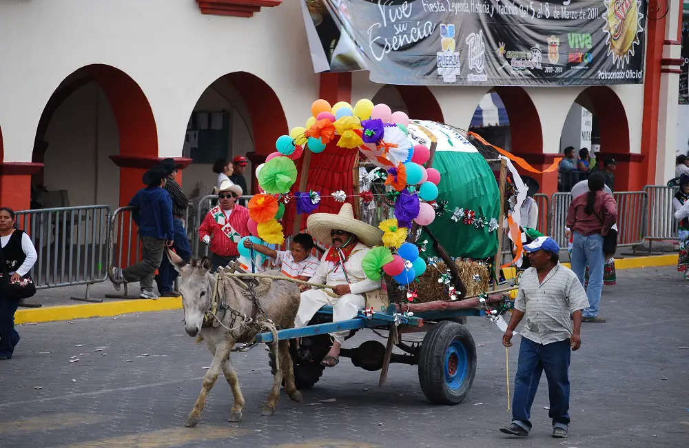 How Much Can Donkeys Pull