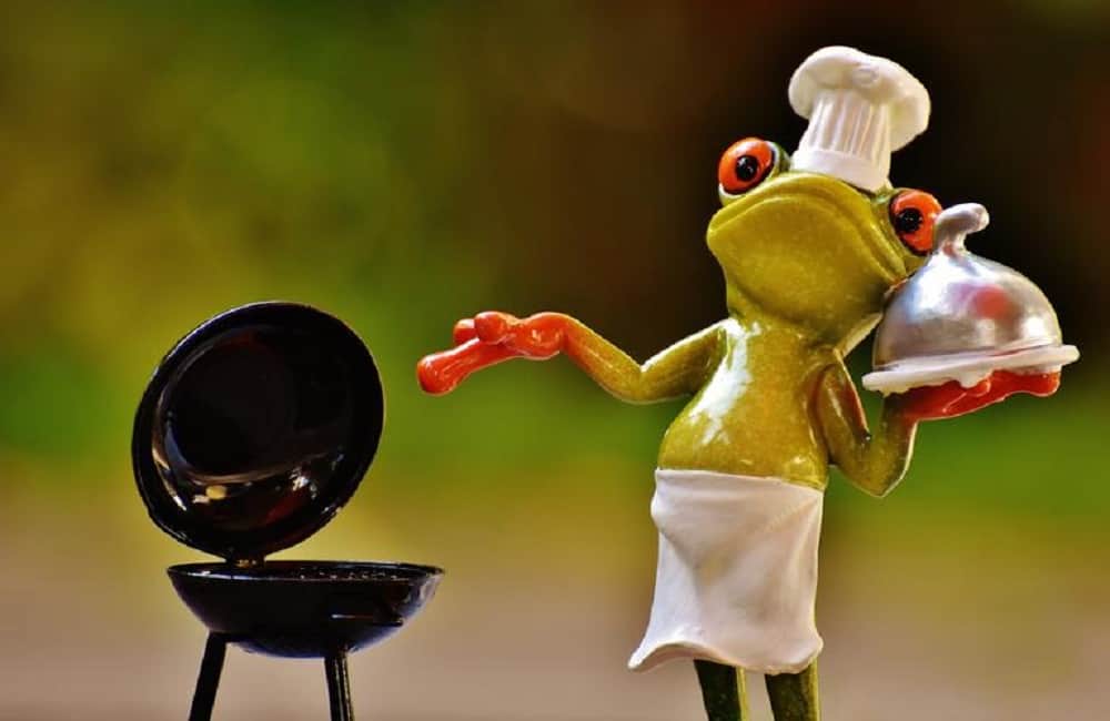 Why Don't Animals Cook Their Food