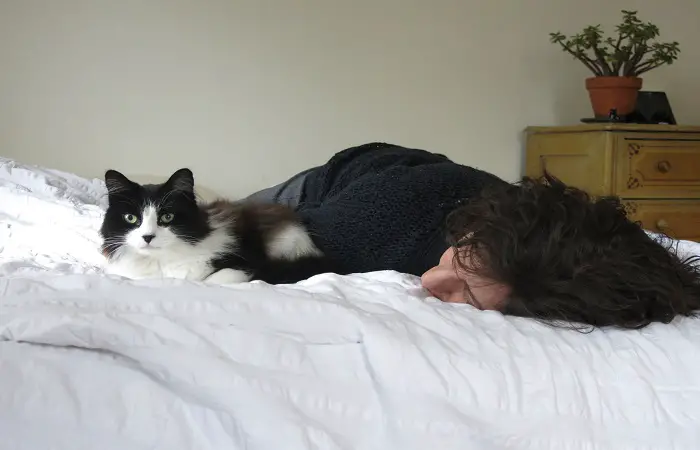 How To Make Your Cat Less Clingy