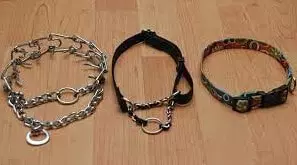 Types of Great Danes Collars